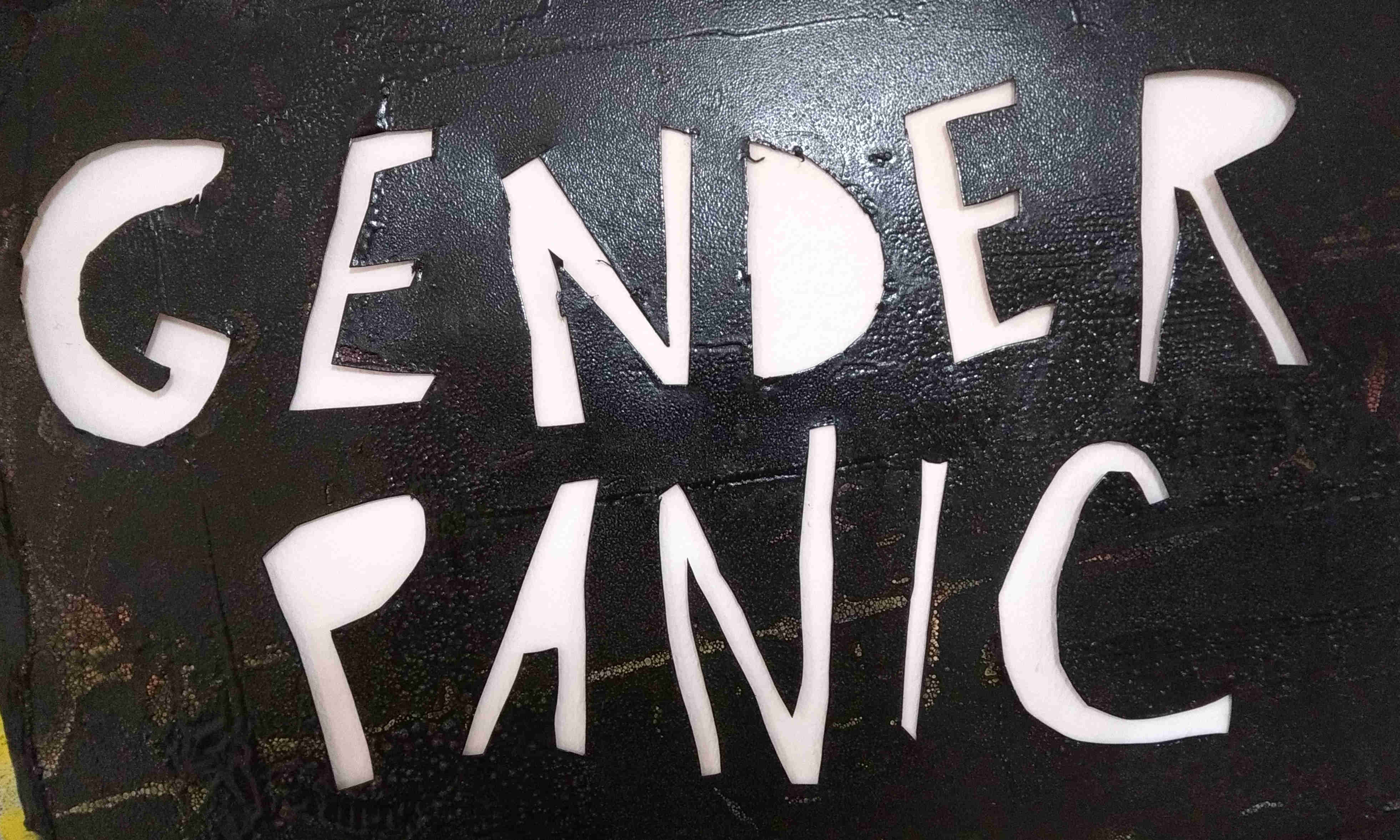 Gender Panic project preview